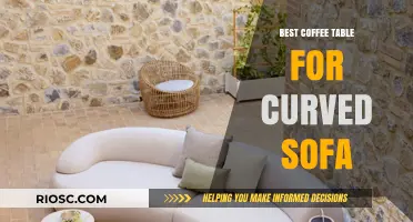 Elegant Coffee Table Ideas to Complement Your Curved Sofa