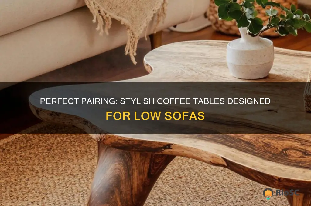 best coffee table for low sofa