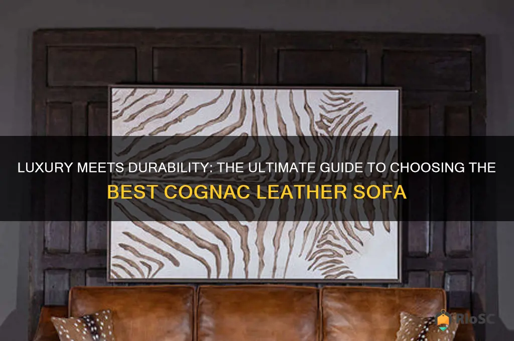 best cognac leather sofa