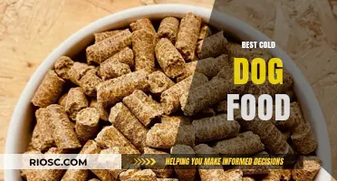 Top Picks for Chilly Canines: The Best Cold Dog Food Options