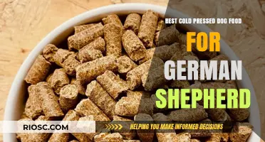Nourishing Your German Shepherd: Top Cold-Pressed Dog Food Picks