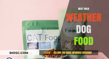 Nourishing Your Furry Friend: Top Cold Weather Dog Food Picks for Optimal Health