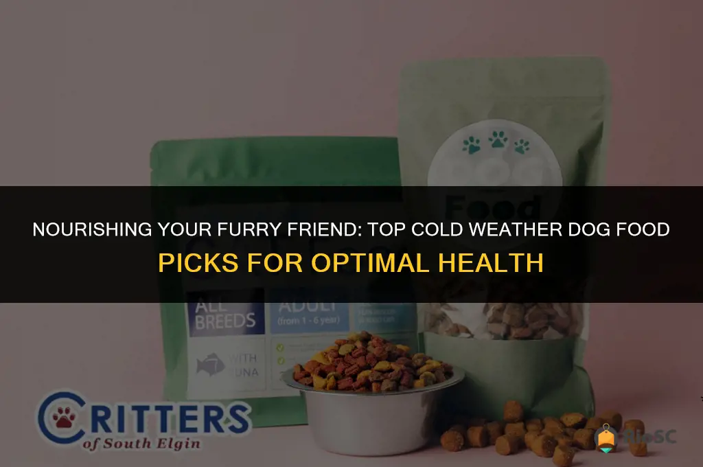 best cold weather dog food