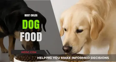 Top Picks for Your Furry Friend: The Best Coles Dog Food Options