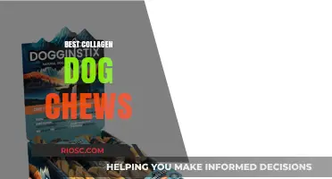 Top-Rated Collagen Dog Chews for Joint Health and Shiny Coats