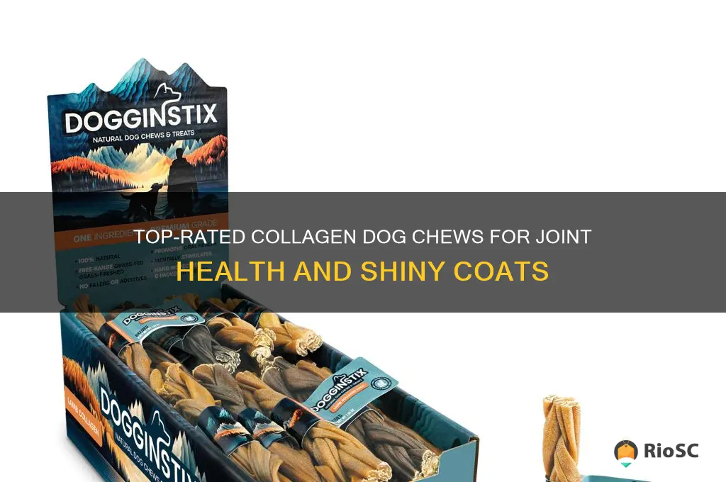 best collagen dog chews