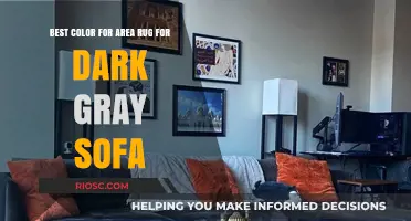 Perfect Pairing: Ideal Area Rug Colors to Complement Your Dark Gray Sofa