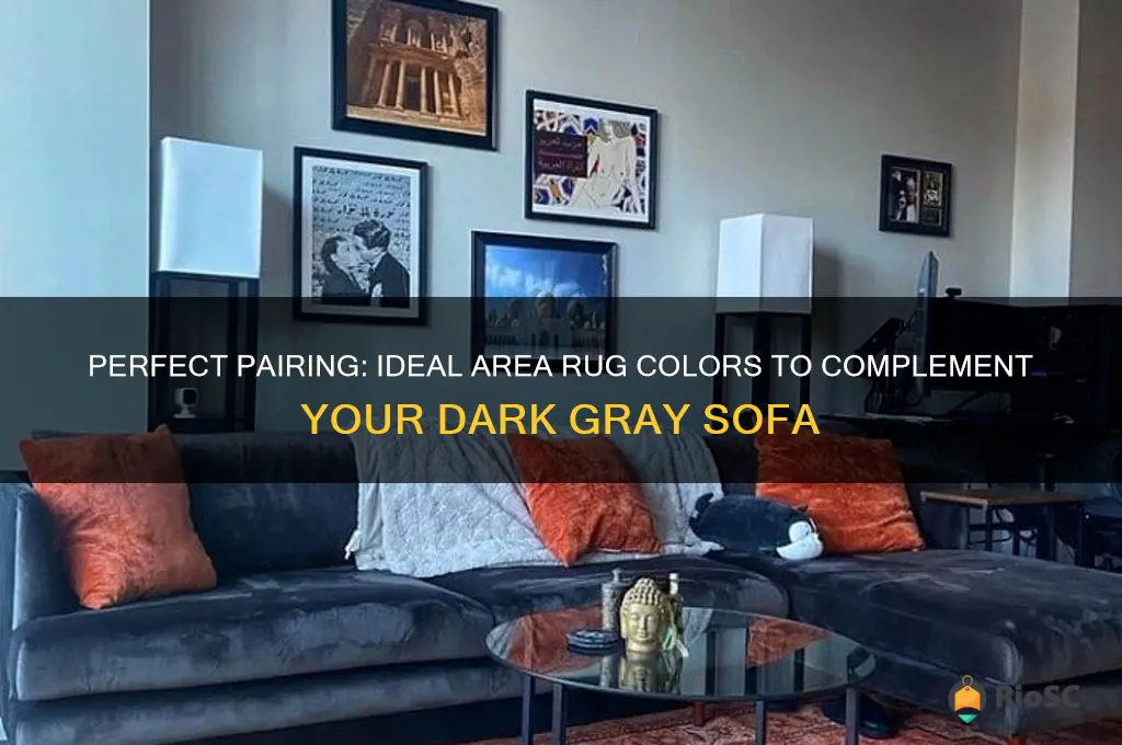 best color for area rug for dark gray sofa