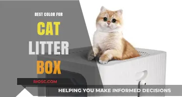 Choosing the Purr-fect Hue: The Best Color for Your Cat’s Litter Box