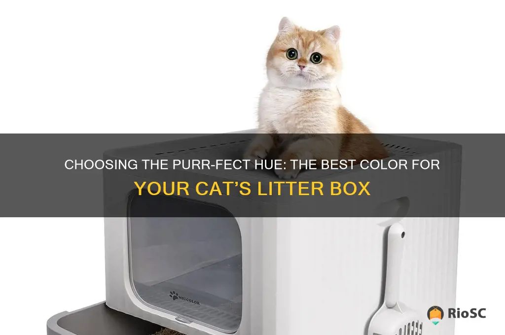 best color for cat litter box
