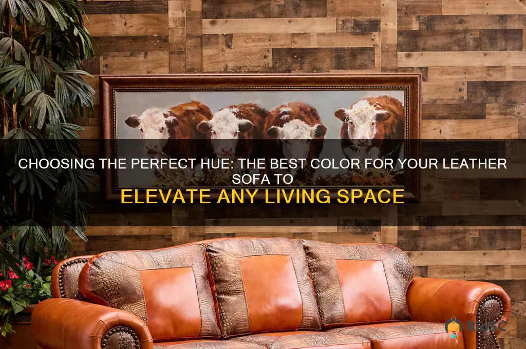 best color for leather sofa