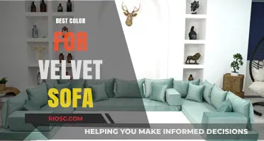 Velvet Sofa Color Guide: Finding the Perfect Hue for Timeless Elegance
