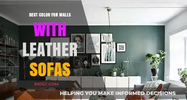 Elegant Wall Colors to Complement Your Leather Sofa: A Guide to Timeless Pairings