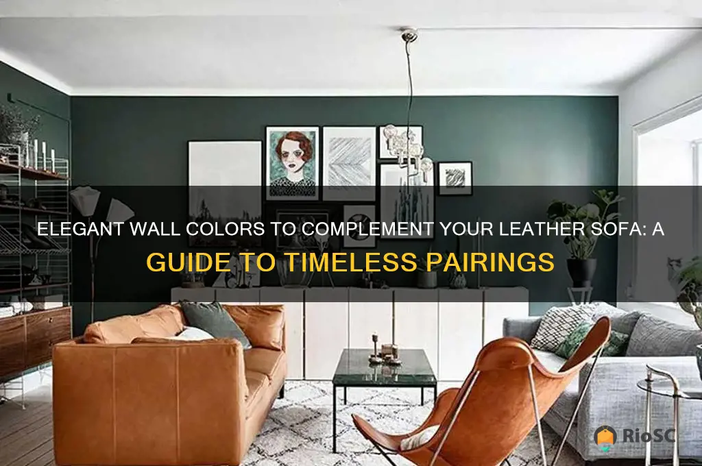 best color for walls with leather sofas