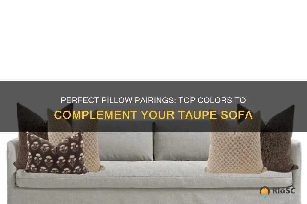 best color pillows for taupe sofa