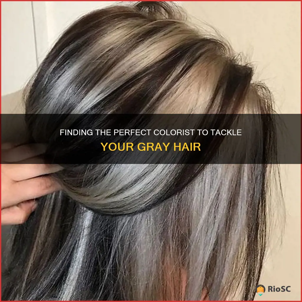 best colorist for gray hair