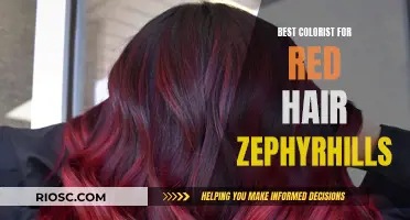 Top Colorist for Vibrant Red Hair in Zephyrhills