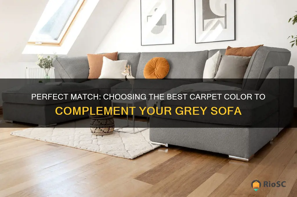 best colour carpet for grey sofa