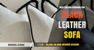 Elevate Your Space: Top Color Cushions to Complement Your Black Leather Sofa