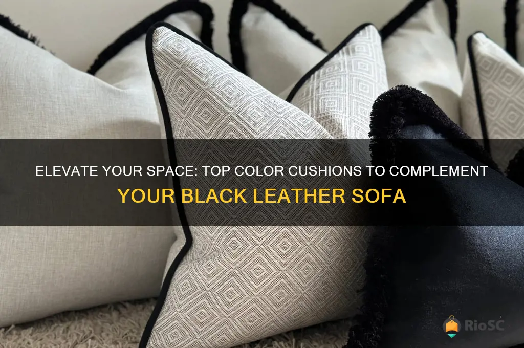 best colour cushions for black leather sofa