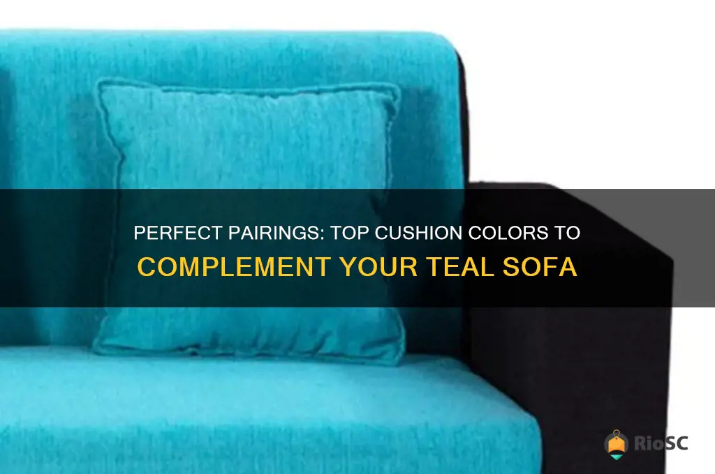 best colour cushions for teal sofa