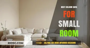 Maximizing Space: The Best Sofa Colors to Brighten and Enlarge Your Small Living Room