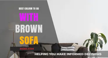 Perfect Pairings: The Best Colors to Complement Your Brown Sofa