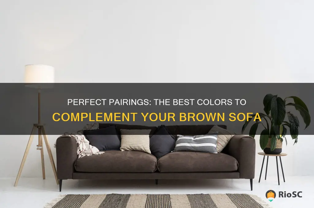 best colour to go with brown sofa