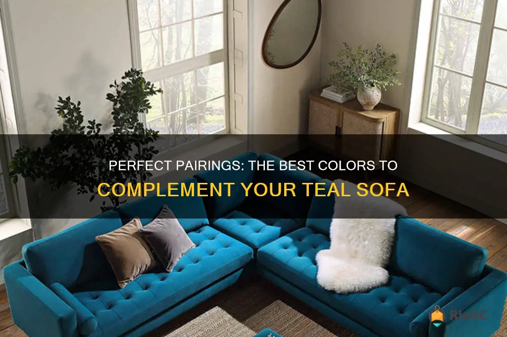 best colour to go with teal sofa