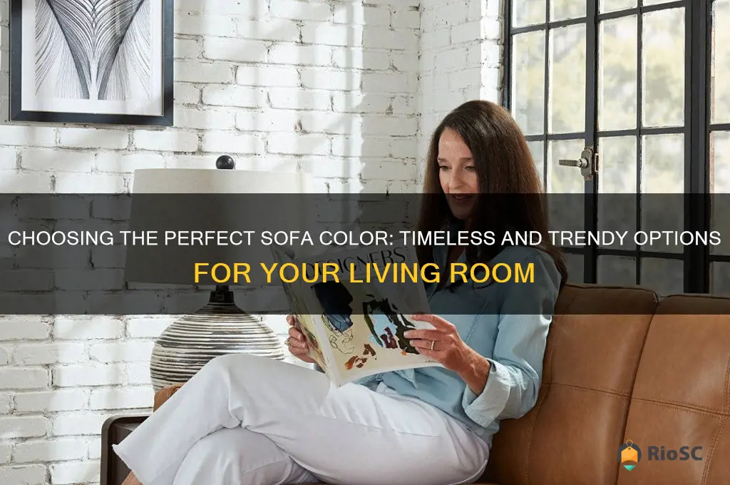 best colours for living room sofas