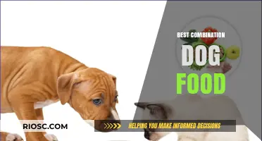 Unlocking Optimal Nutrition: The Synergistic Blend for Your Canine Companion