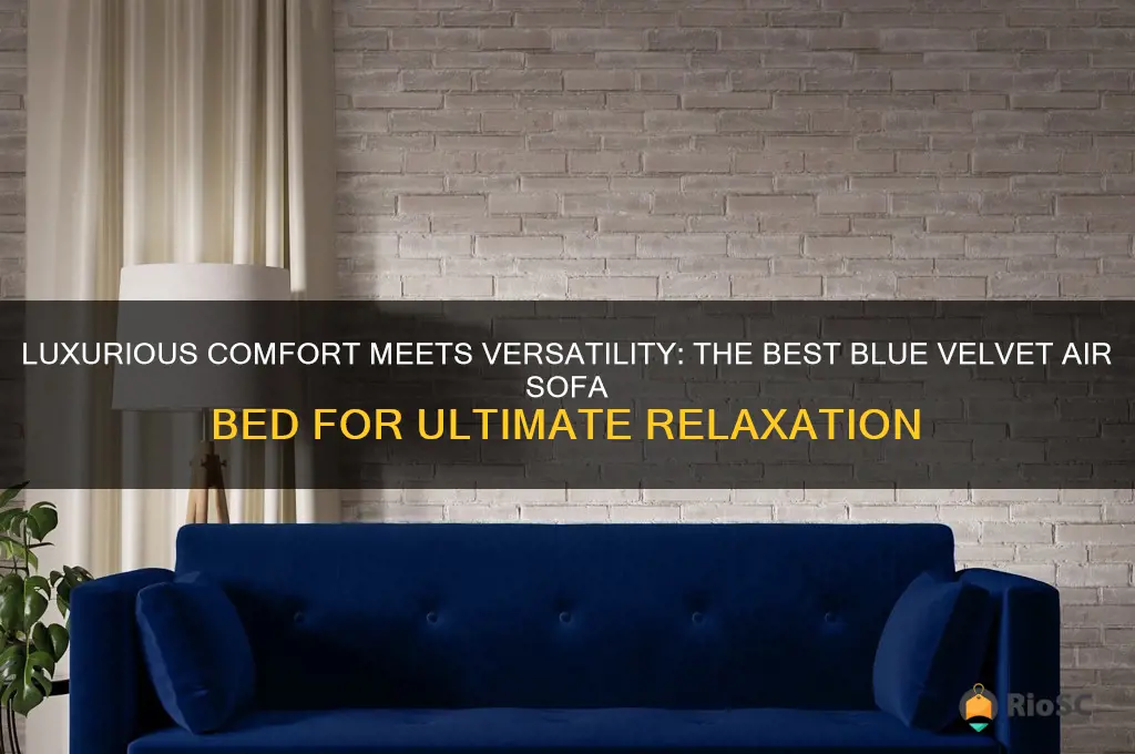 best comfort blue velvet air sofa bed