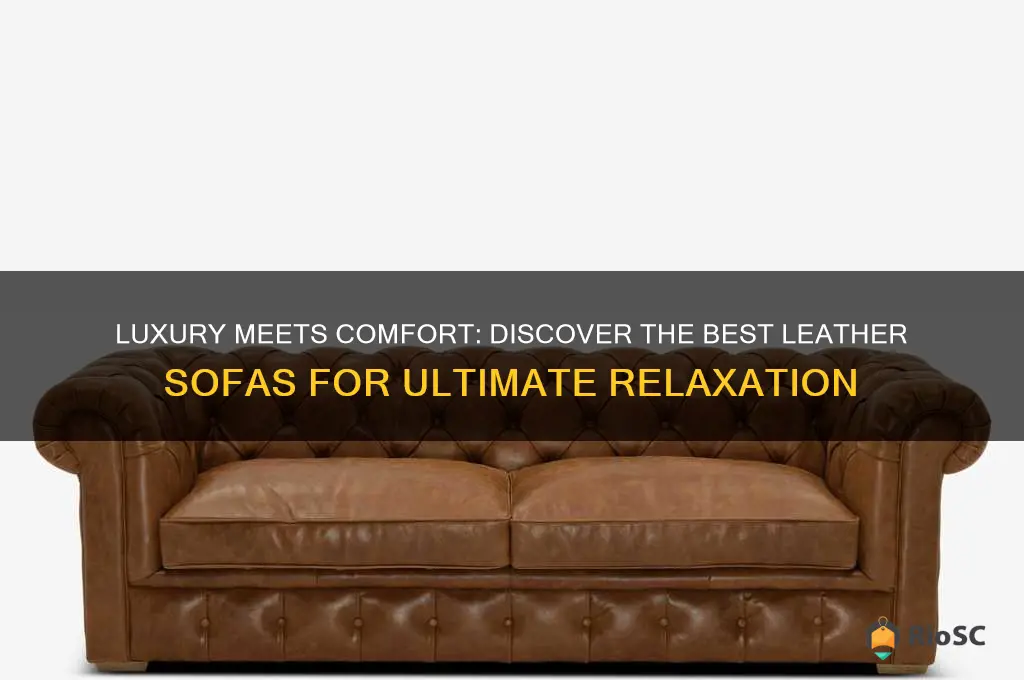 best comfortable leather sofa