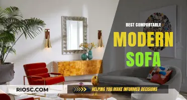 Ultimate Guide to the Most Comfortable Modern Sofas for Relaxation and Style
