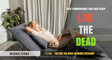 Ultimate Comfort: The Best Sofa Beds for a Sleep Like the Dead Experience