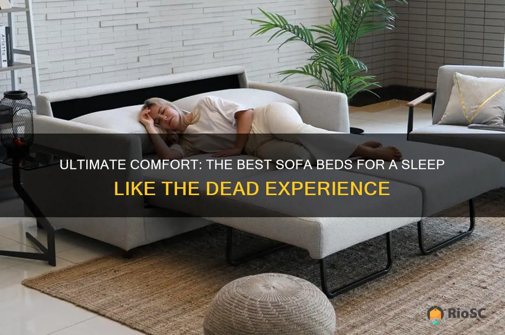 best comfortable sofa bed sleep like the dead