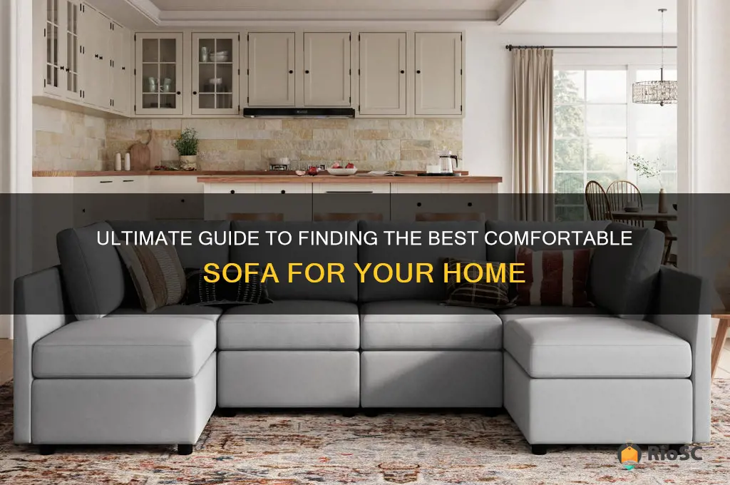best comfortable sofa bef