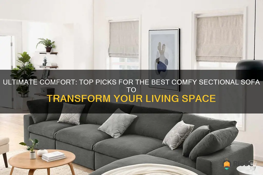 best comfy sectional sofa