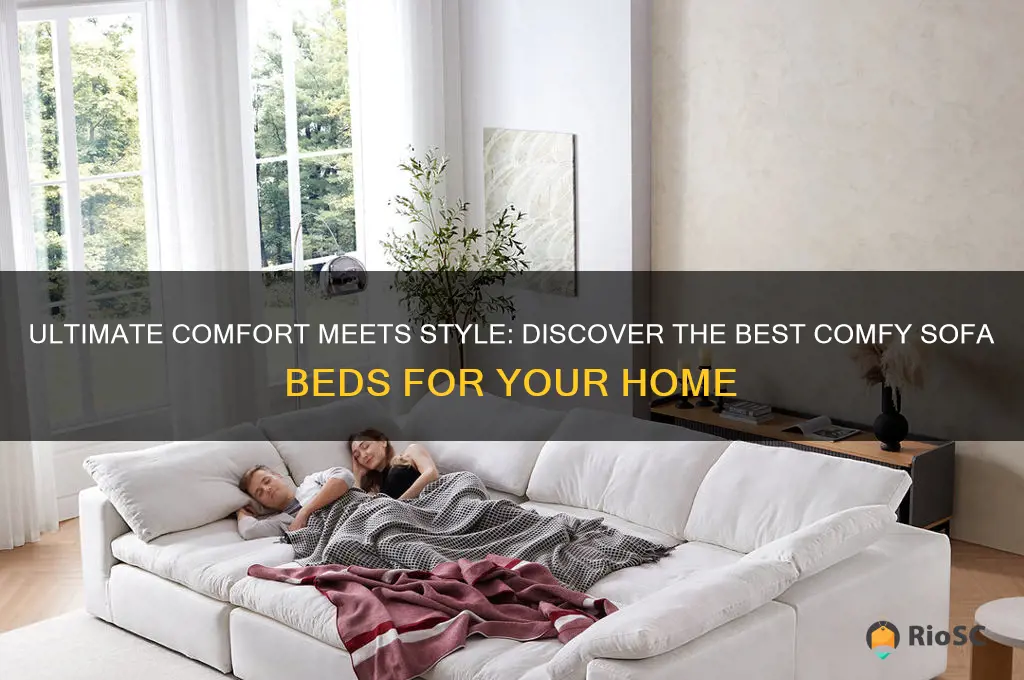 best comfy sofa bed