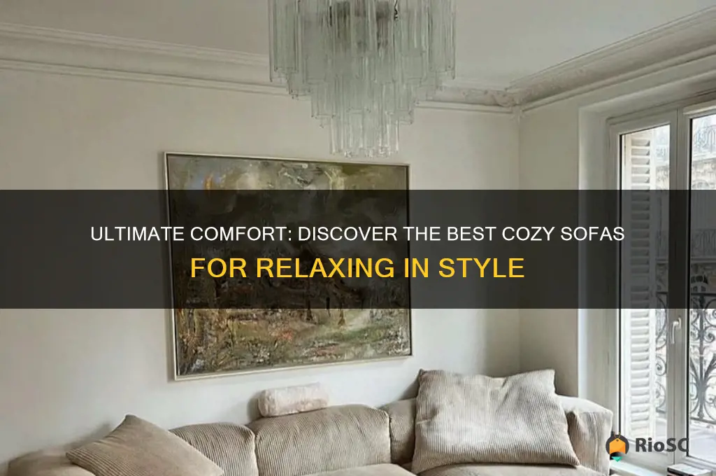 best comfy sofa