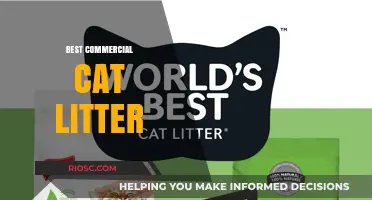 Top-Rated Commercial Cat Litter Options for Odor Control and Easy Cleanup