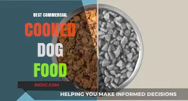Top-Rated Commercial Cooked Dog Foods: A Comprehensive Guide for Pet Owners