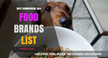 Top-Rated Commercial Dog Food Brands: A Comprehensive Guide for Pet Owners