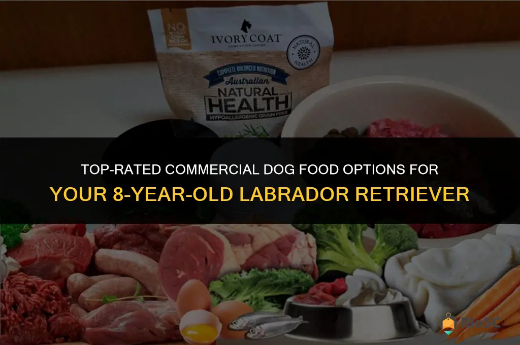 best commercial dog food for 8 yr old lab