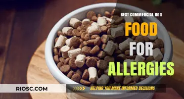Top Picks for Allergy-Friendly Commercial Dog Food: A Comprehensive Guide