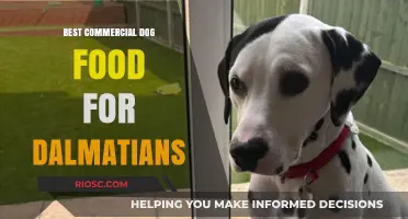 Top-Rated Commercial Dog Foods for Dalmatians: A Comprehensive Guide
