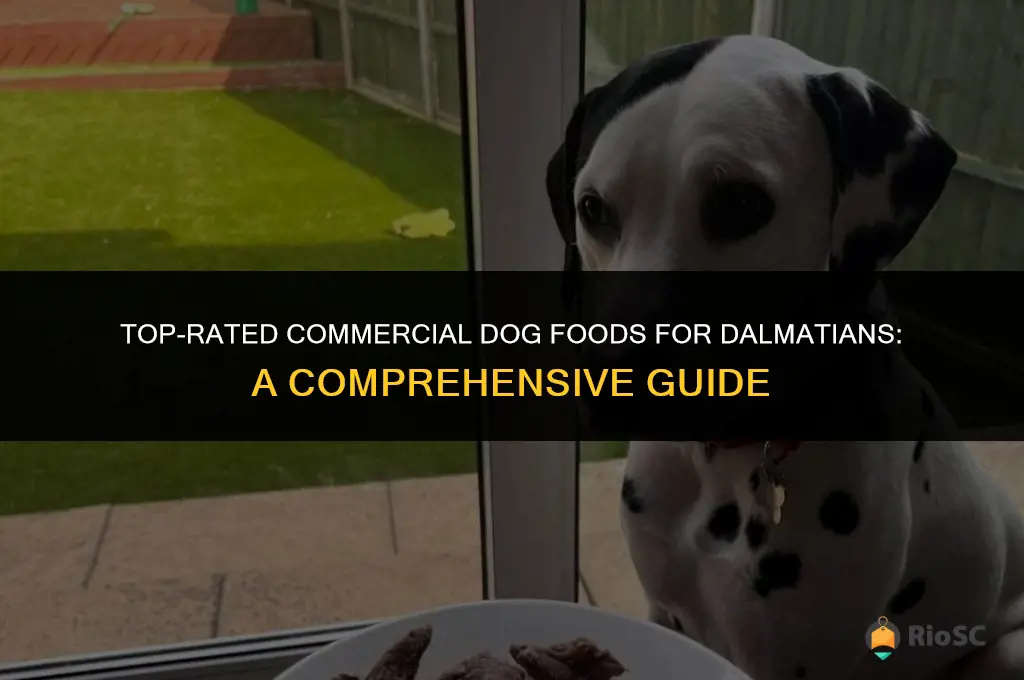 best commercial dog food for dalmatians