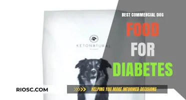 Top Picks for Diabetic Dogs: The Best Commercial Dog Foods to Manage Your Pet's Health