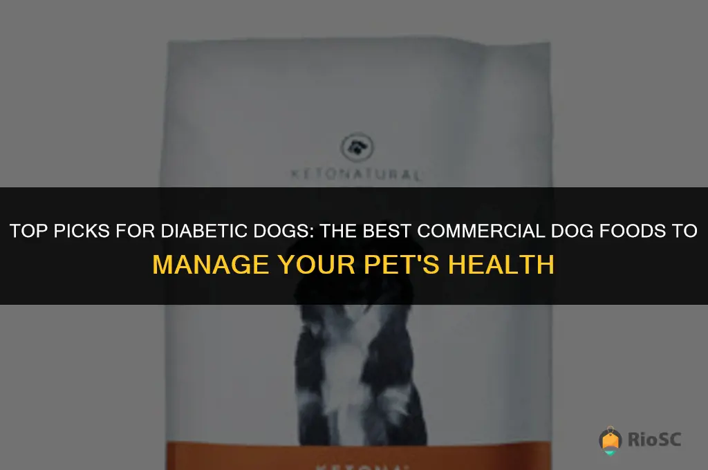 best commercial dog food for diabetes
