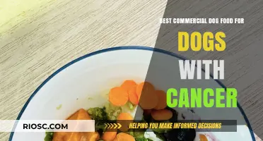 Nourishing Hope: Top Commercial Dog Foods to Support Your Canine Companion's Cancer Journey